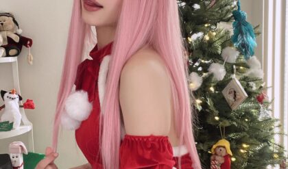 Beautiful Girls Show Off Their Santa Outfits to Celebrate Christmas 2024